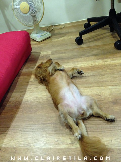 20251024-evu74 20251024-evu74