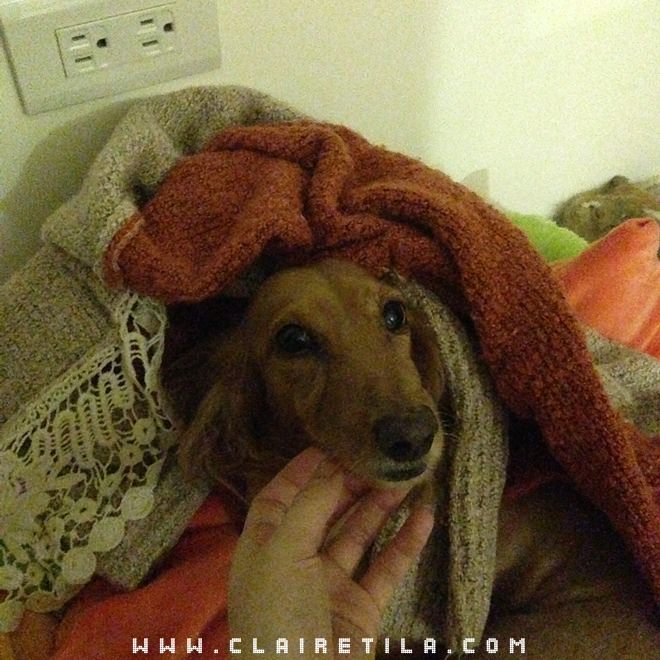 20251024-f2za3 20251024-f2za3