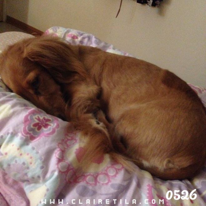 20251024-fjep2 20251024-fjep2