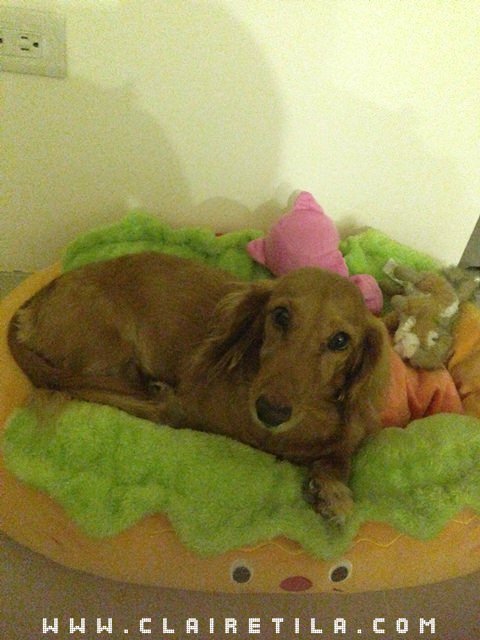 20251024-g91pv 20251024-g91pv