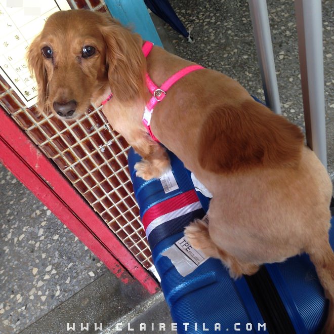 20251024-gevyy 20251024-gevyy