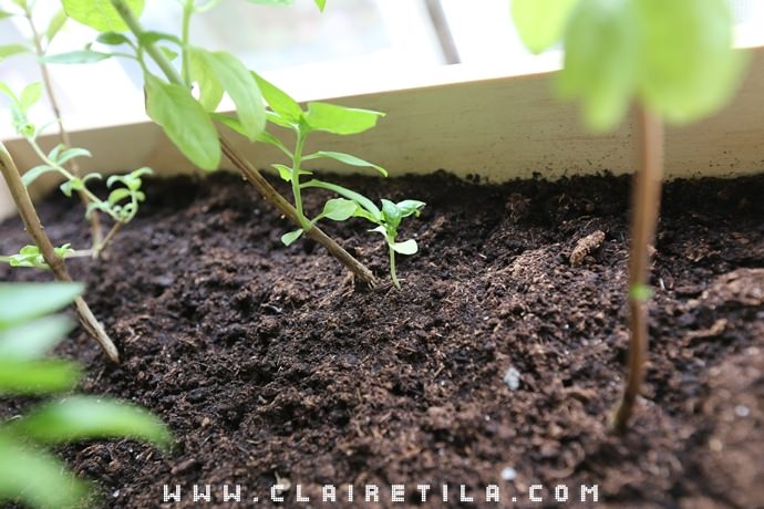 20251024-gx7s9 20251024-gx7s9