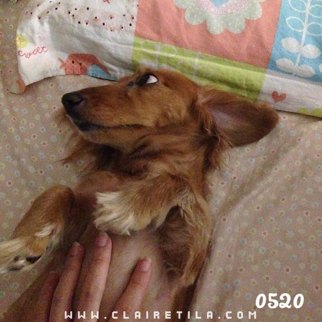 20251024-gym0s 20251024-gym0s