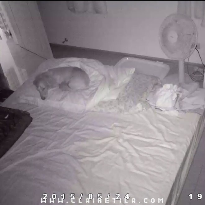 20251024-gzzr8 20251024-gzzr8