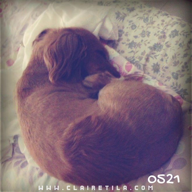 20251024-hmiva 20251024-hmiva