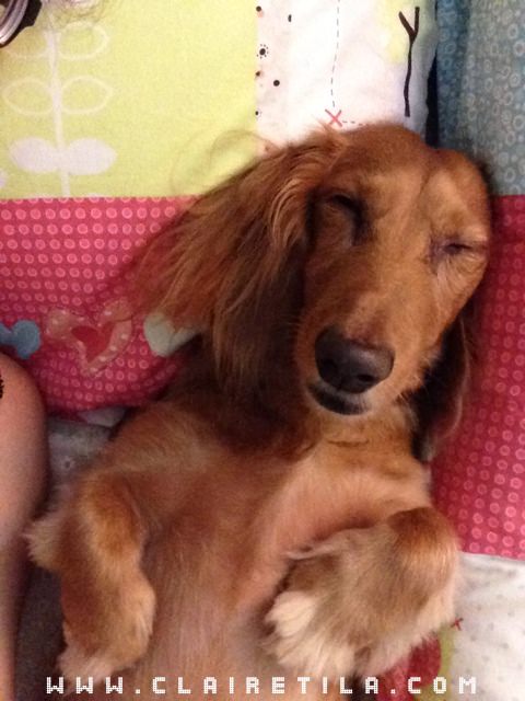 20251024-i2pug 20251024-i2pug