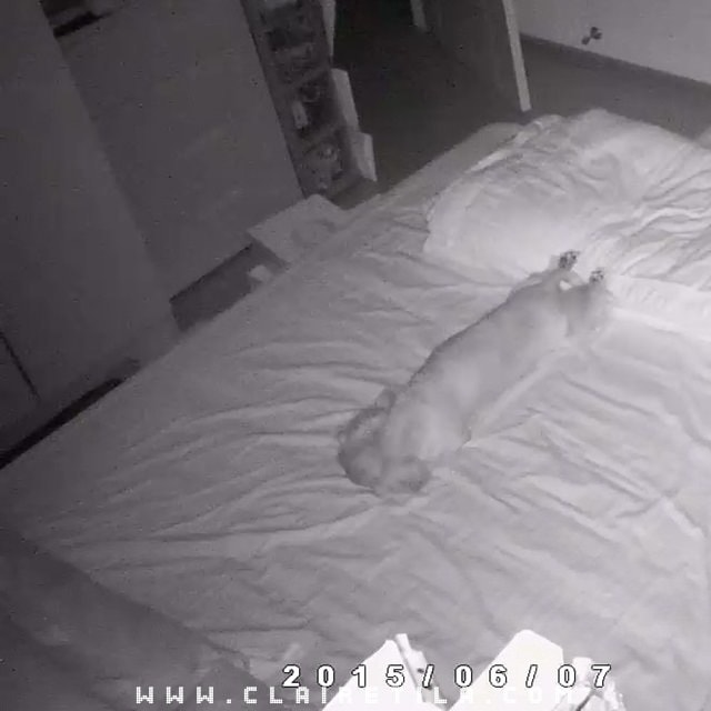 20251024-i9a6e 20251024-i9a6e