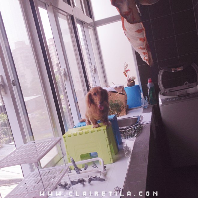 20251024-isf10 20251024-isf10