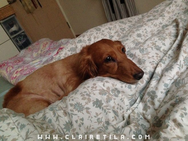 20251024-iwq5t 20251024-iwq5t