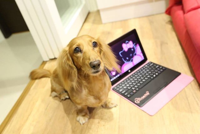 20251024-jxsz2 20251024-jxsz2