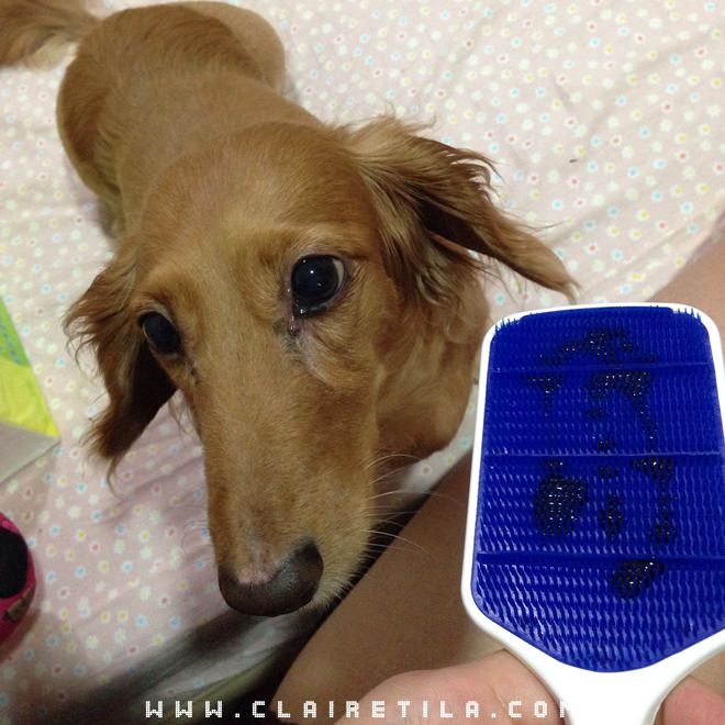 20251024-kdrv7 20251024-kdrv7