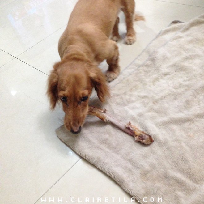 20251024-kkcno 20251024-kkcno