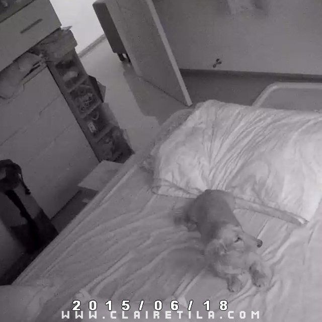 20251024-kppng 20251024-kppng