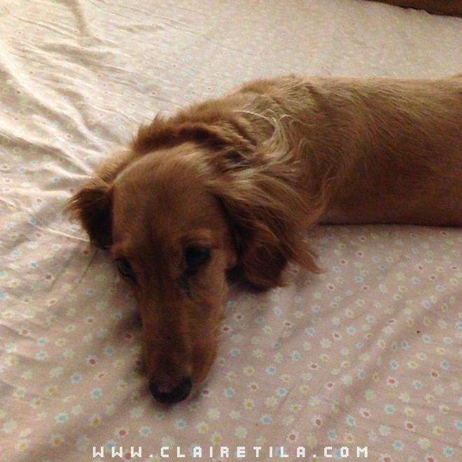 20251024-l0jww 20251024-l0jww