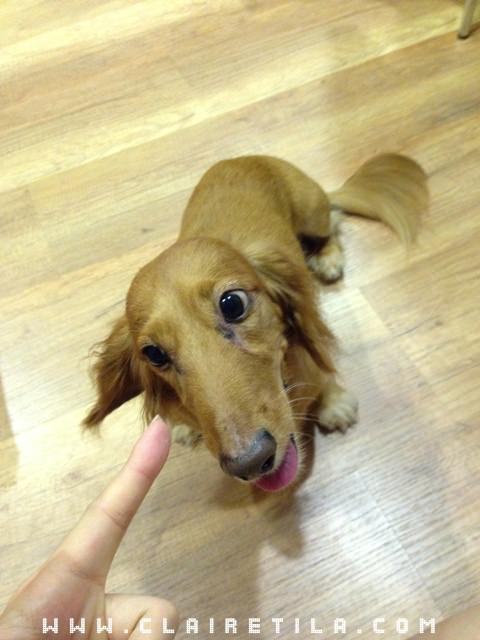 20251024-l2app 20251024-l2app