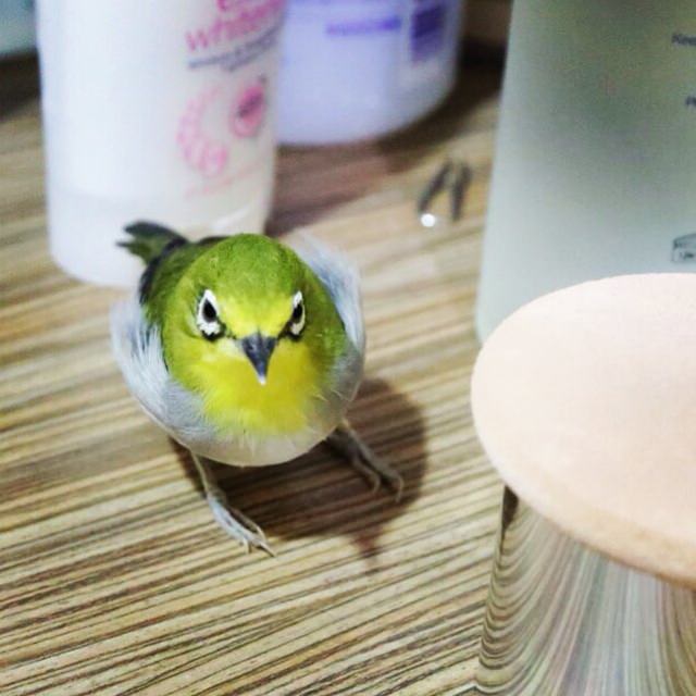 20251024-l38kv 20251024-l38kv