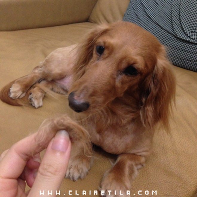 20251024-l7kgp 20251024-l7kgp