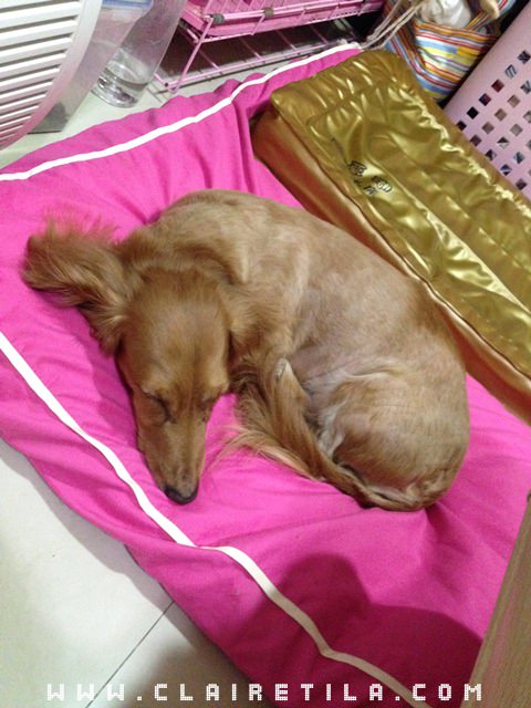 20251024-ledlx 20251024-ledlx