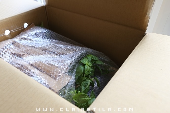 20251024-ledz1 20251024-ledz1