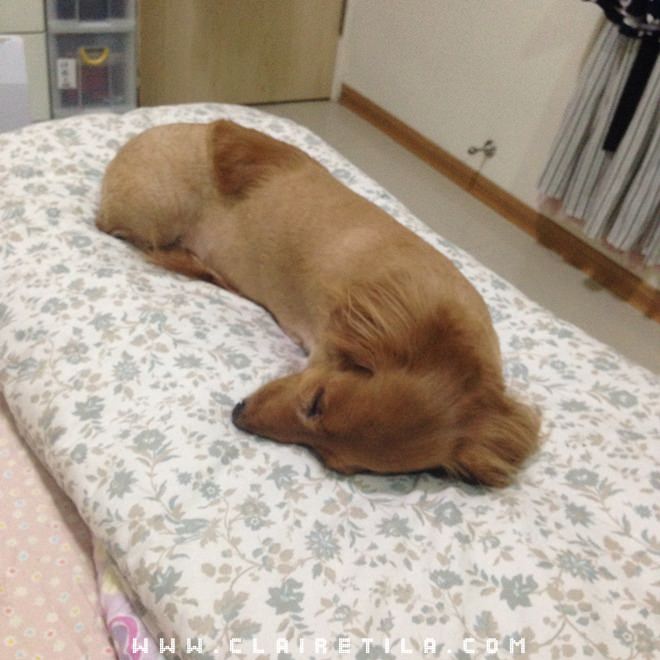 20251024-lr3et 20251024-lr3et