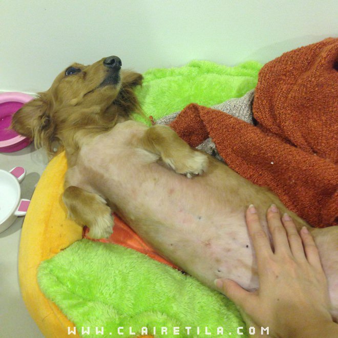 20251024-m0fvg 20251024-m0fvg