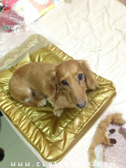 20251024-nj64u 20251024-nj64u