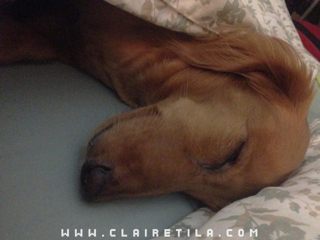 20251024-nwpts 20251024-nwpts