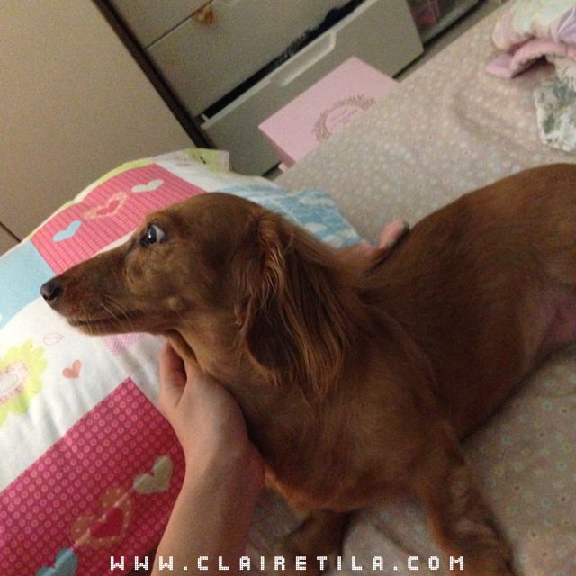 20251024-odd4z 20251024-odd4z