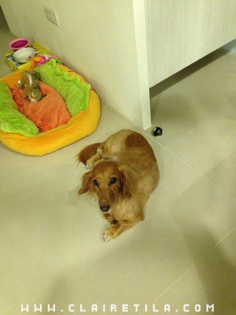 20251024-ofwou 20251024-ofwou