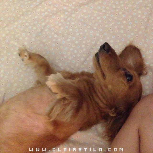 20251024-oj8wy 20251024-oj8wy