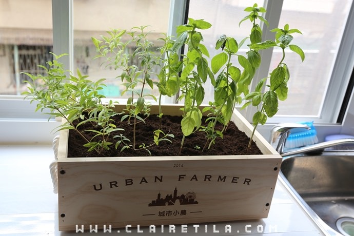 20251024-p37d5 20251024-p37d5