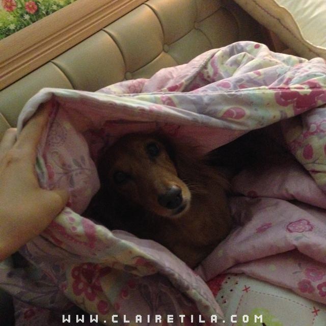 20251024-pg33o 20251024-pg33o