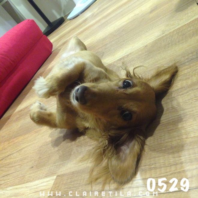 20251024-psrii 20251024-psrii