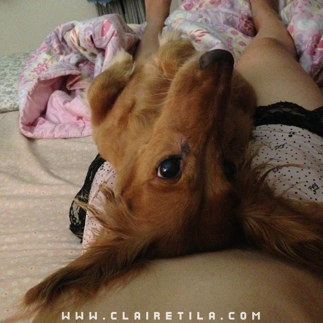 20251024-q9yb7 20251024-q9yb7