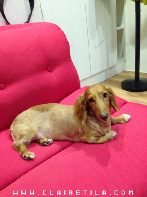 20251024-qv2of 20251024-qv2of