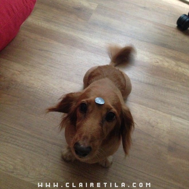 20251024-sv2vu 20251024-sv2vu