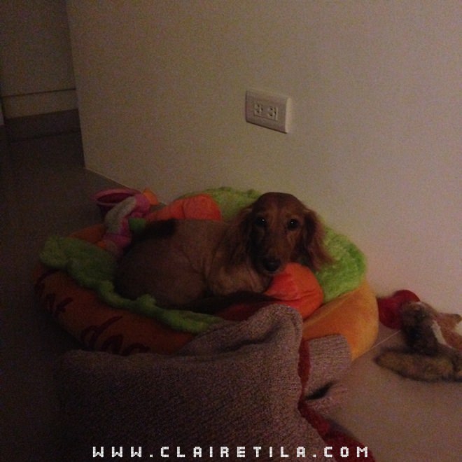 20251024-taxv6 20251024-taxv6