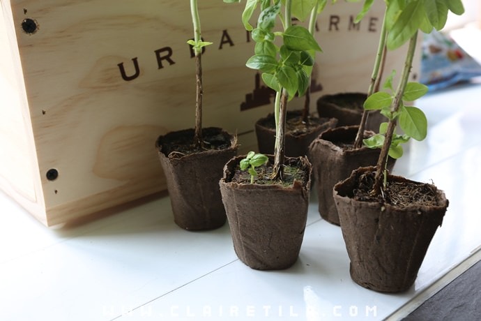 20251024-tnsaf 20251024-tnsaf