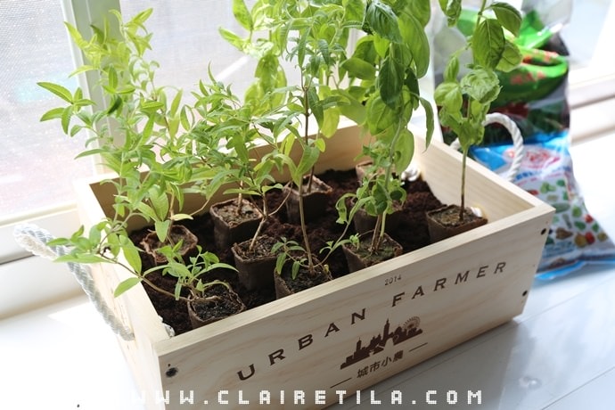 20251024-tpfw8 20251024-tpfw8