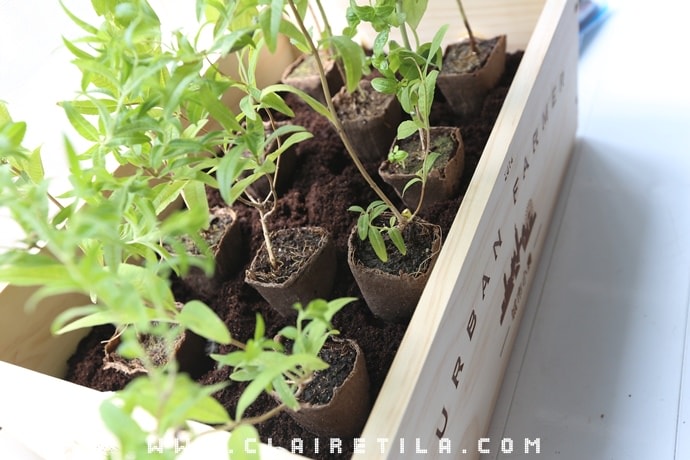 20251024-u1q0x 20251024-u1q0x