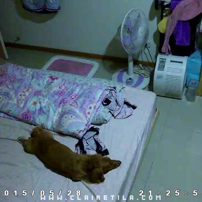 20251024-ufhes 20251024-ufhes