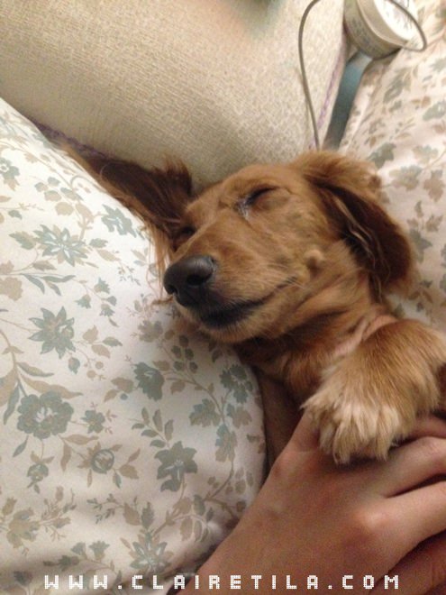 20251024-uqjw3 20251024-uqjw3