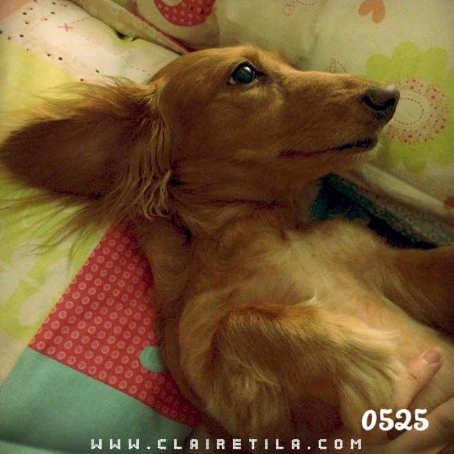 20251024-uywc6 20251024-uywc6