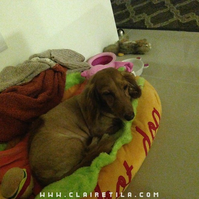 20251024-v6n25 20251024-v6n25