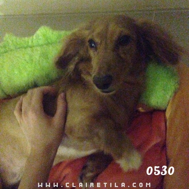 20251024-vi6lf 20251024-vi6lf