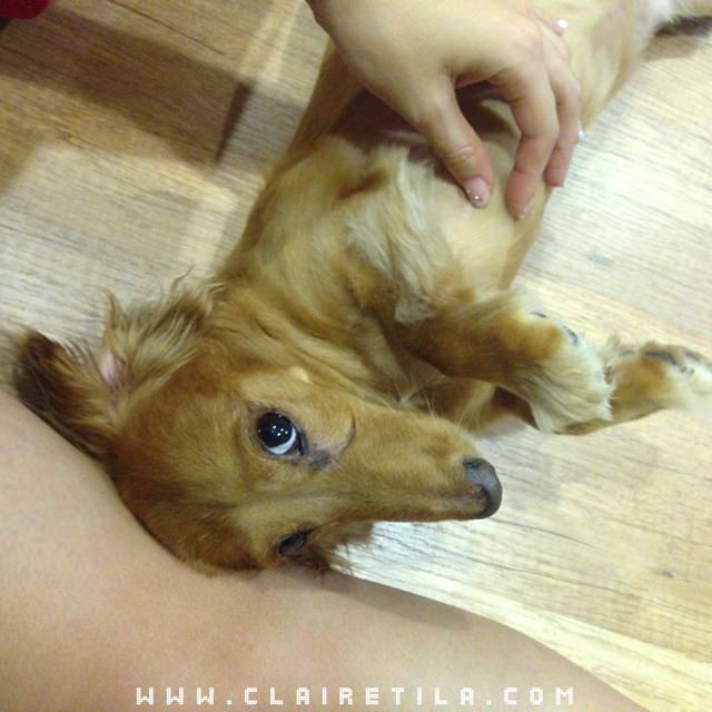 20251024-vqs33 20251024-vqs33