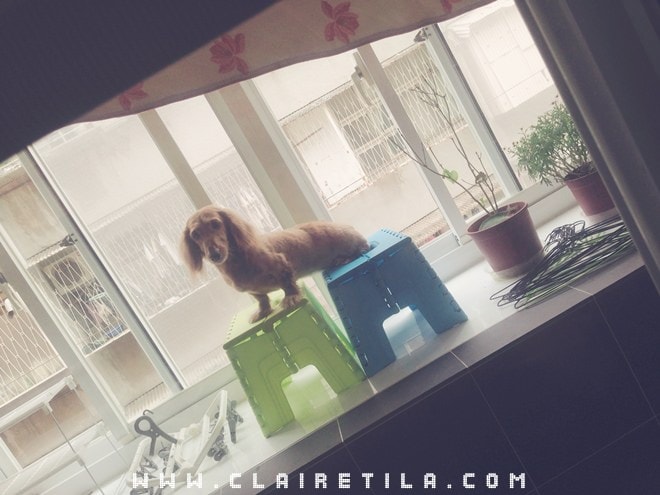 20251024-x23el 20251024-x23el