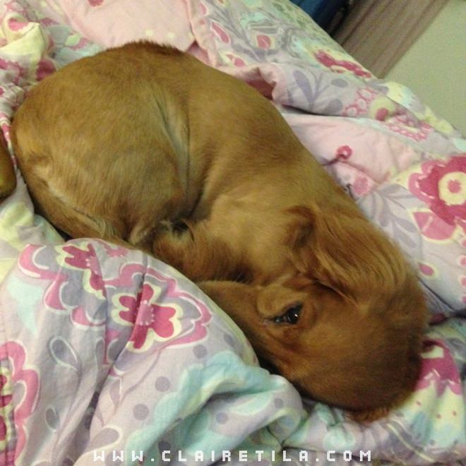 20251024-x4oah 20251024-x4oah