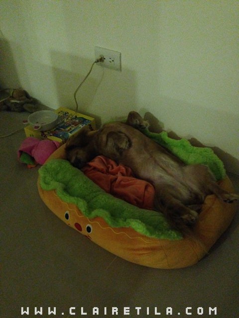 20251024-x6o48 20251024-x6o48