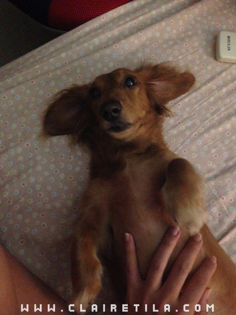 20251024-xr5y8 20251024-xr5y8